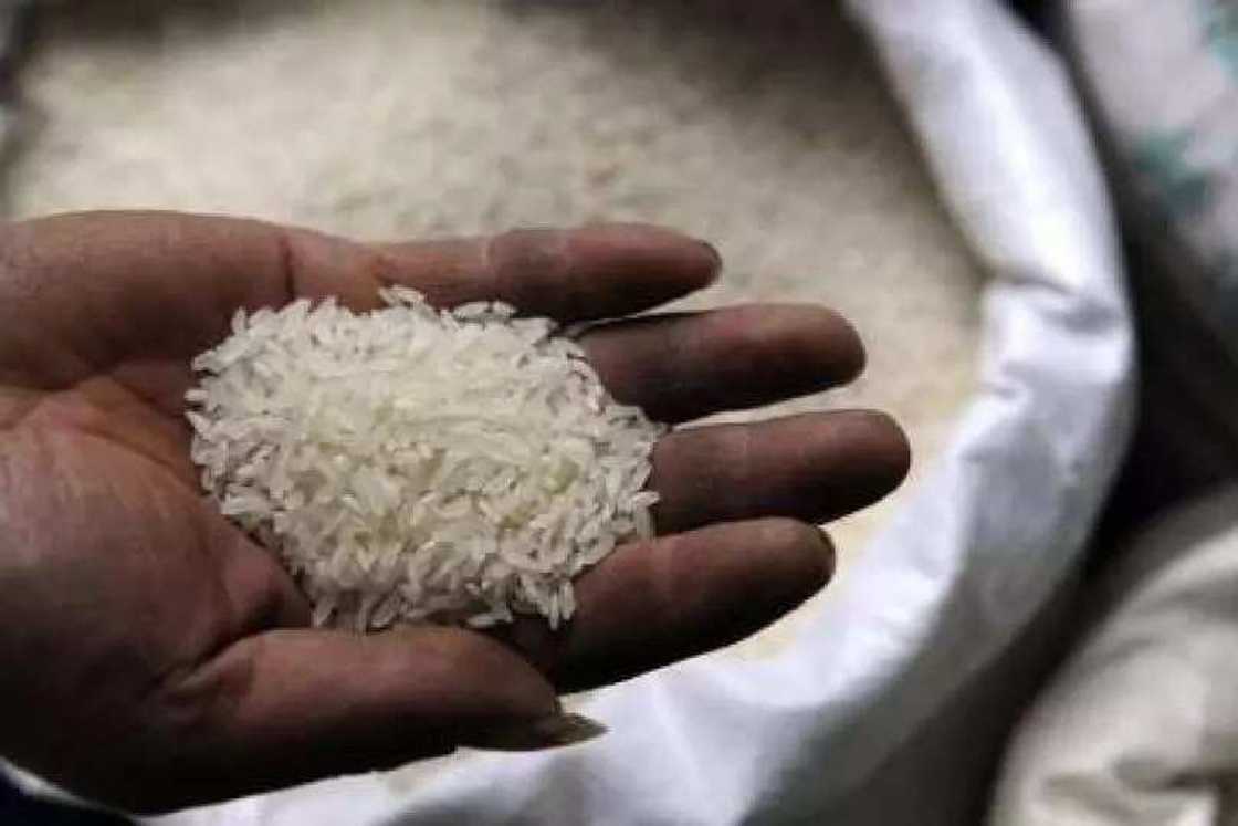 WARNING! 6 tests to help you spot fake rice