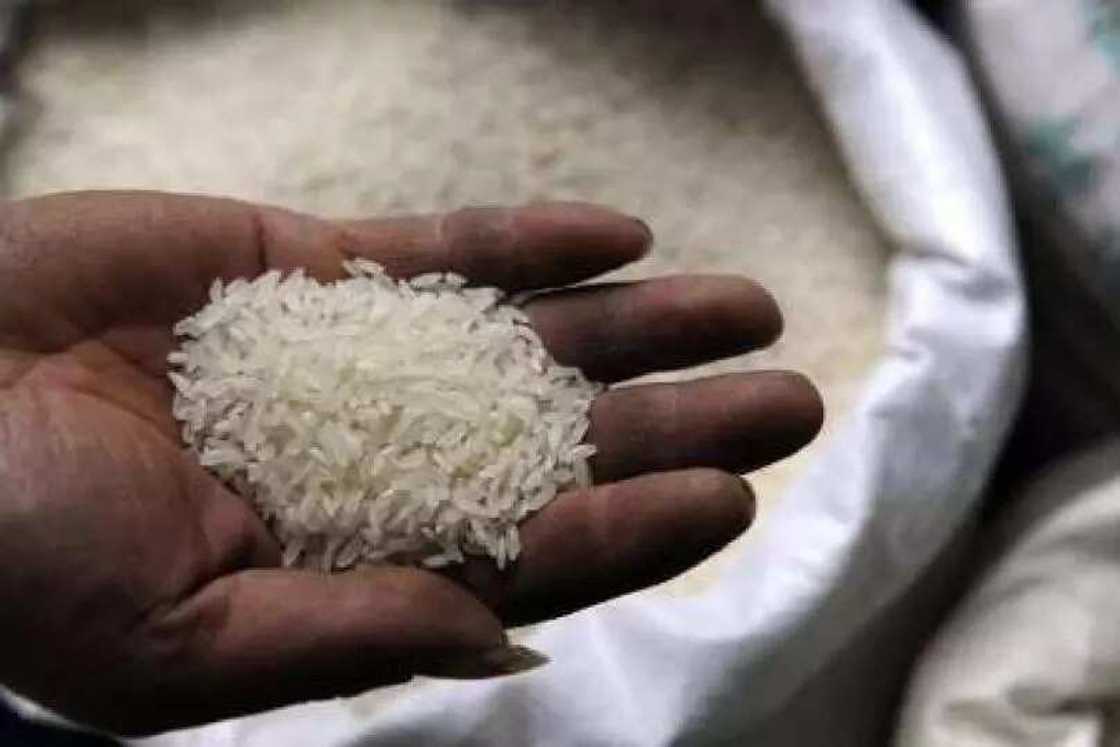WARNING! 6 tests to help you spot fake rice WARNING! 6 tests to help you spot fake rice