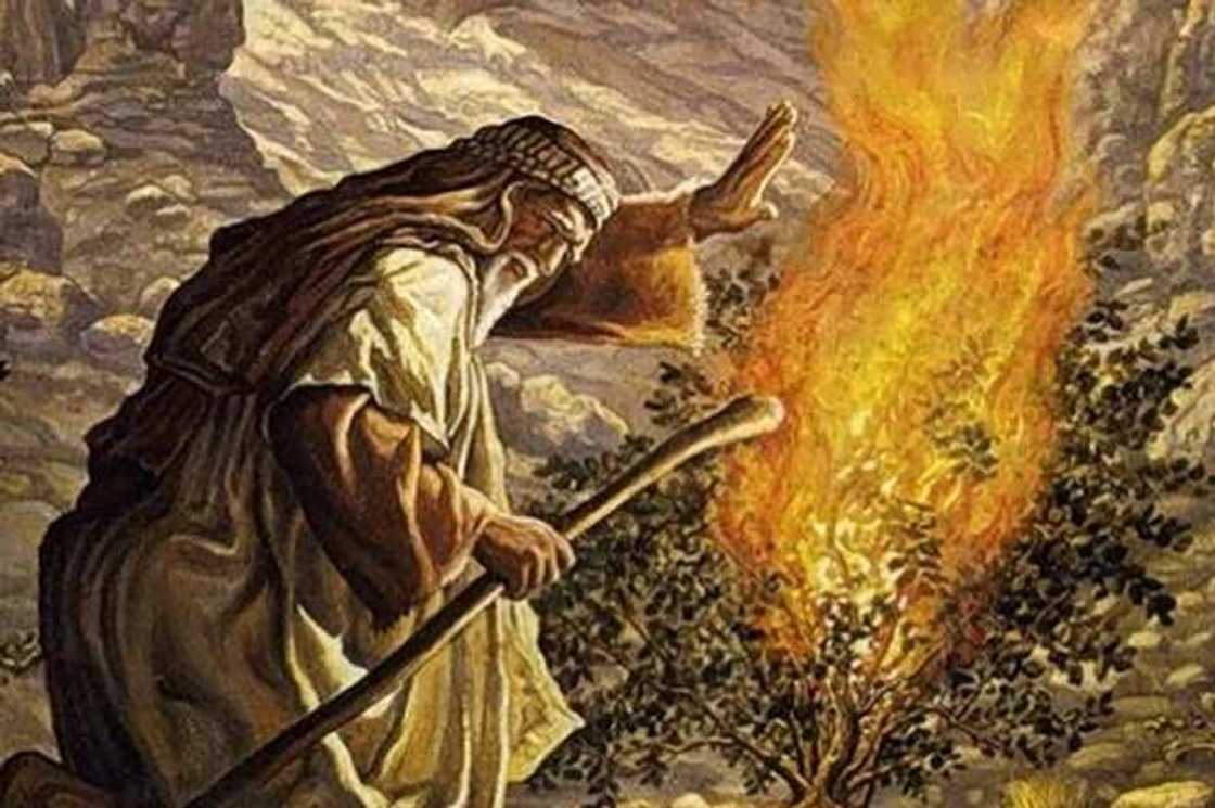 Moses in front of a burning bush Moses in front of a burning bush