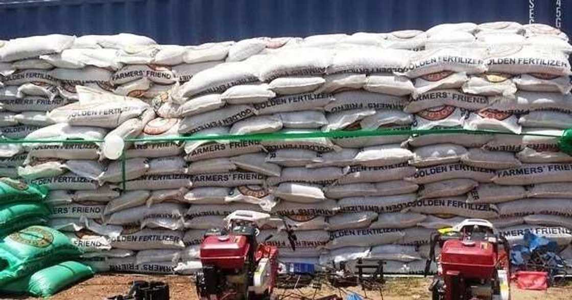 Madalla! An fara sayar da takin zamani a farashi mai rahura a wannan jihar ta Arewa Madalla! An fara sayar da takin zamani a farashi mai rahura a wannan jihar ta Arewa