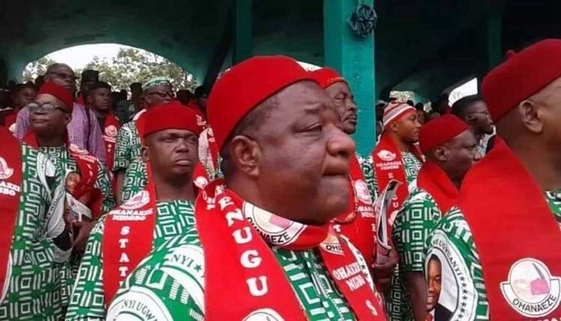 Kungiyar kabilar Ibo na yunkurin haramtawa ‘yan uwansu cin naman Shanu Kungiyar kabilar Ibo na yunkurin haramtawa ‘yan uwansu cin naman Shanu