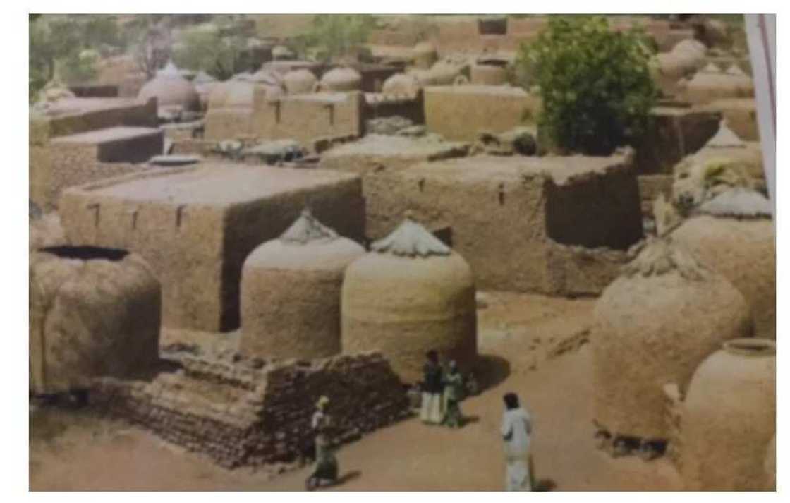 Hausa traditional architecture Hausa traditional architecture