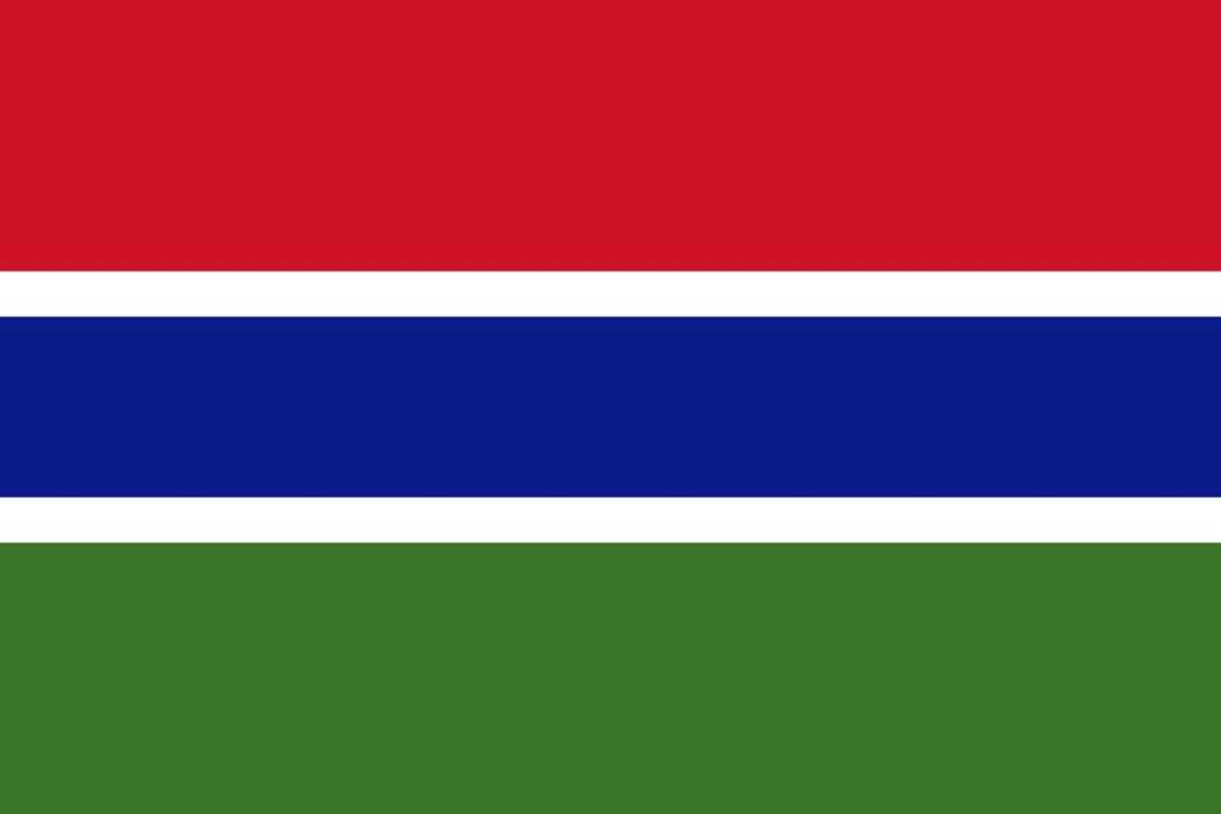 Flag of The Gambia Flag of The Gambia