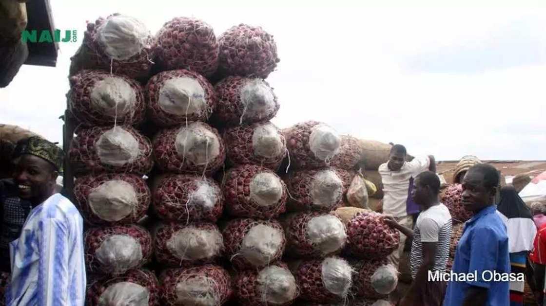 Mile 12 Market At A Glance Mile 12 Market At A Glance