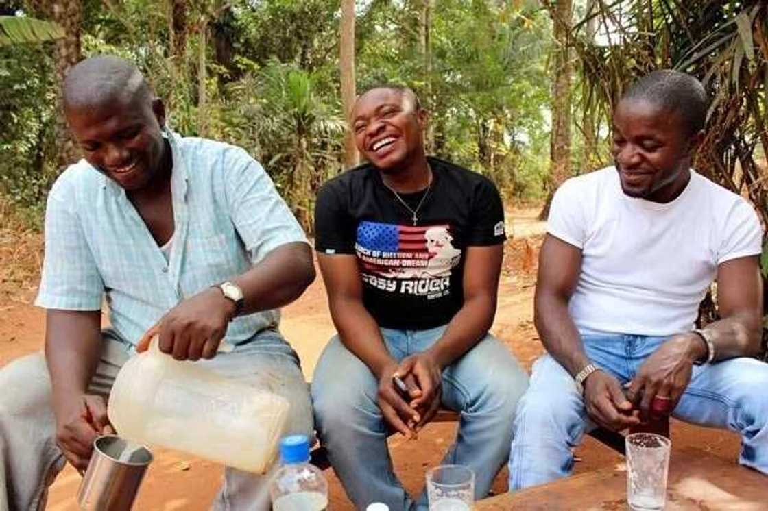 Men drinking palm wine Men drinking palm wine