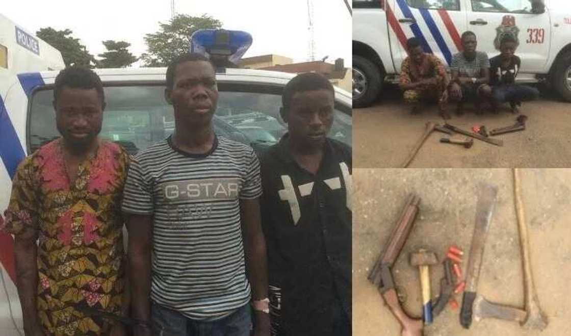 Nurudeen, Ehis and one other criminal arrested by the Lagos state police. Nurudeen, Ehis and one other criminal arrested by the Lagos state police.