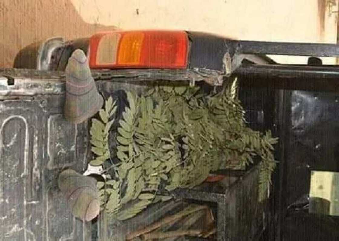 Yansandan sun cafke yan fashi 16 a yayin da wasu matasa suka hallaka wani gawurtaccen dan fashi Yansandan sun cafke yan fashi 16 a yayin da wasu matasa suka hallaka wani gawurtaccen dan fashi