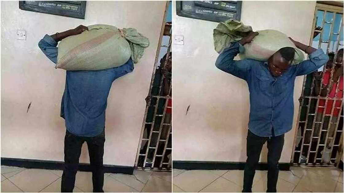 Wani Barawo ya mika kansa ga Yansanda bayan buhun gyadan da ya sata ya makalkale masa a wuya (Hotuna) Wani Barawo ya mika kansa ga Yansanda bayan buhun gyadan da ya sata ya makalkale masa a wuya (Hotuna)