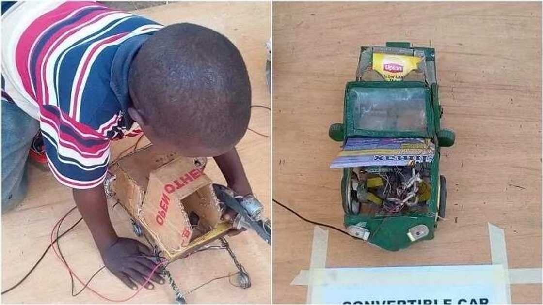 Wani Yaro mai shekaru 11 ya baje kolin basirarsa ne ƙere-ƙere a jihar Kebbi (Hotuna) Wani Yaro mai shekaru 11 ya baje kolin basirarsa ne ƙere-ƙere a jihar Kebbi (Hotuna)