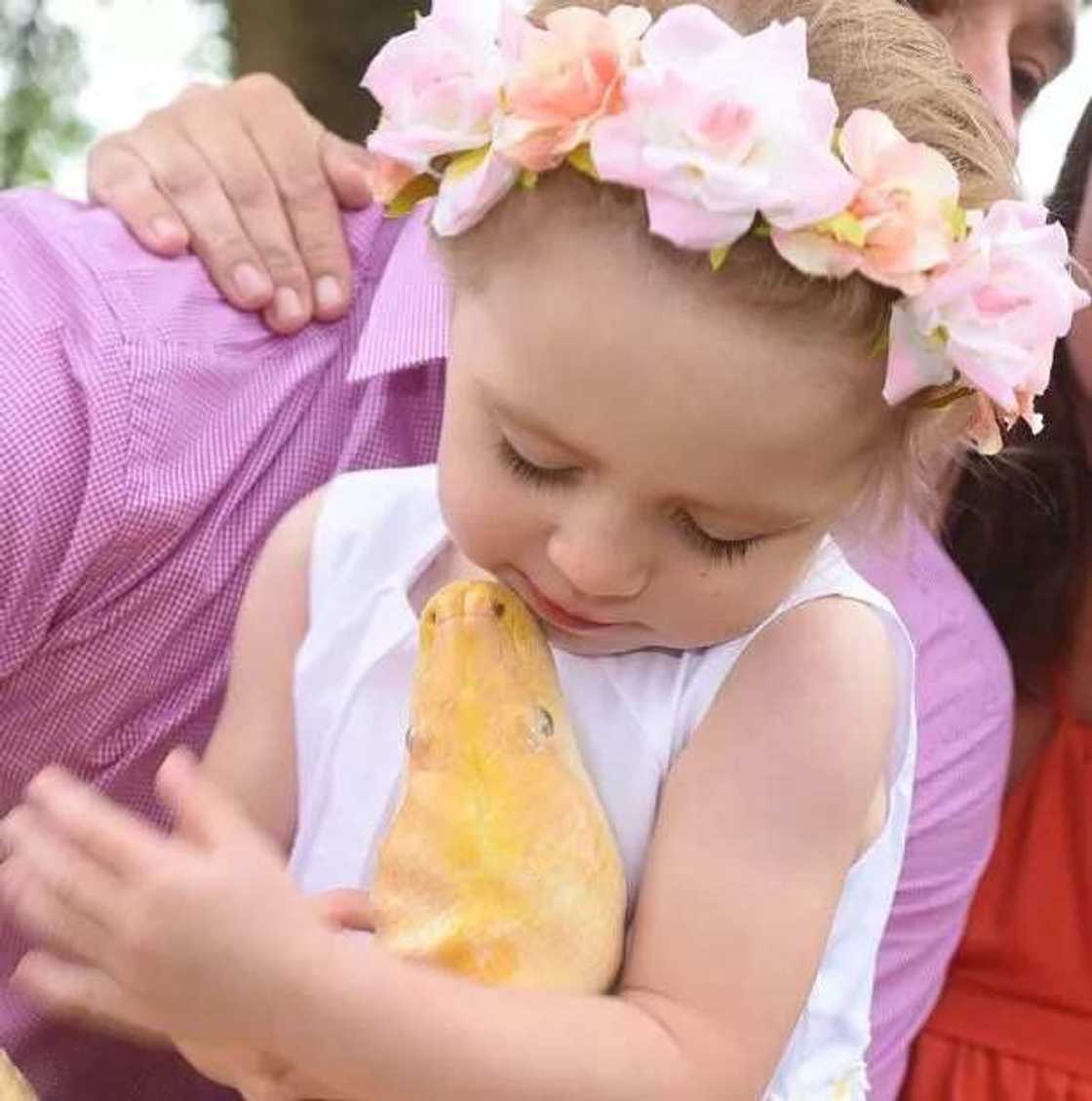 Meet Two Year Old With Guts To Kiss 15FT Snake