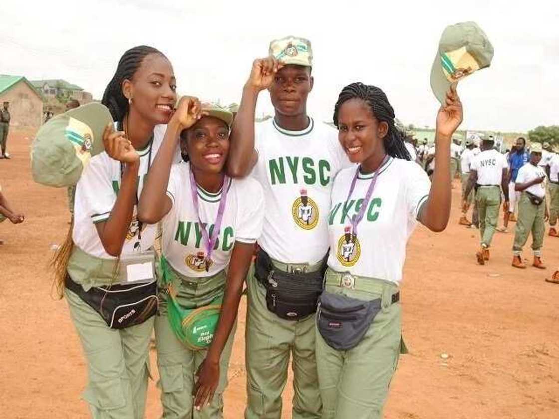 NYSC certificate number verification guidelines NYSC certificate number verification guidelines