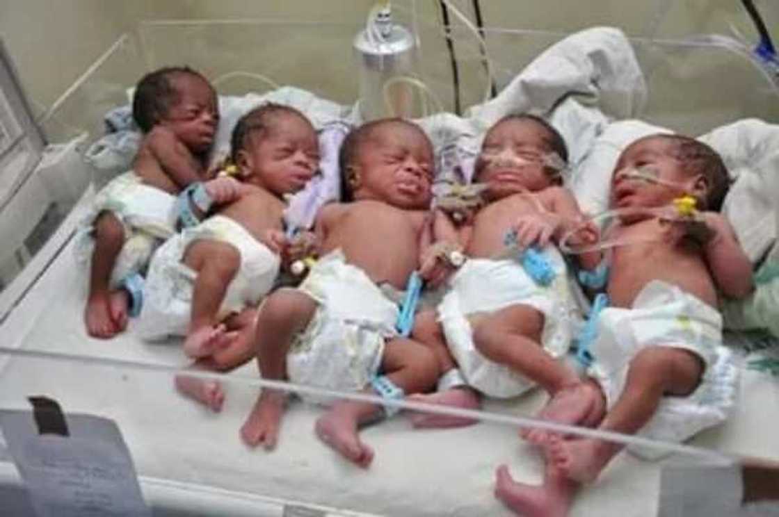 Nigerian unemployed graduates welcome their first set of quintuplets (photos)