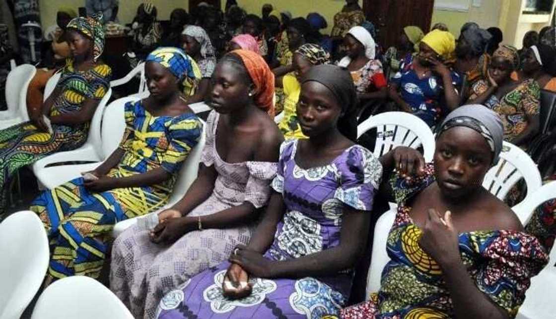 PDP chieftain reveals how negotiation for CHibok girls' release was scuttled under Jonathan