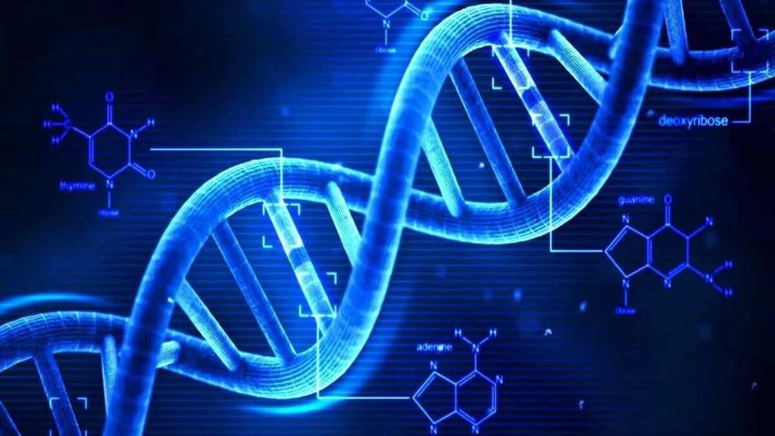 Genotype results Genotype results