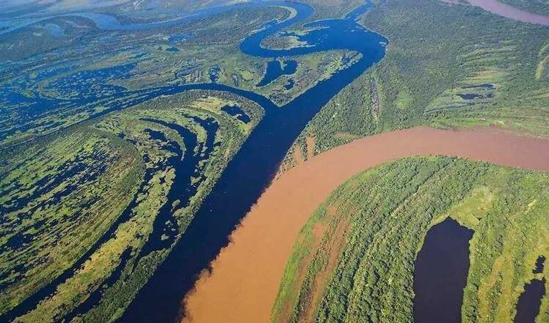 confluence confluence