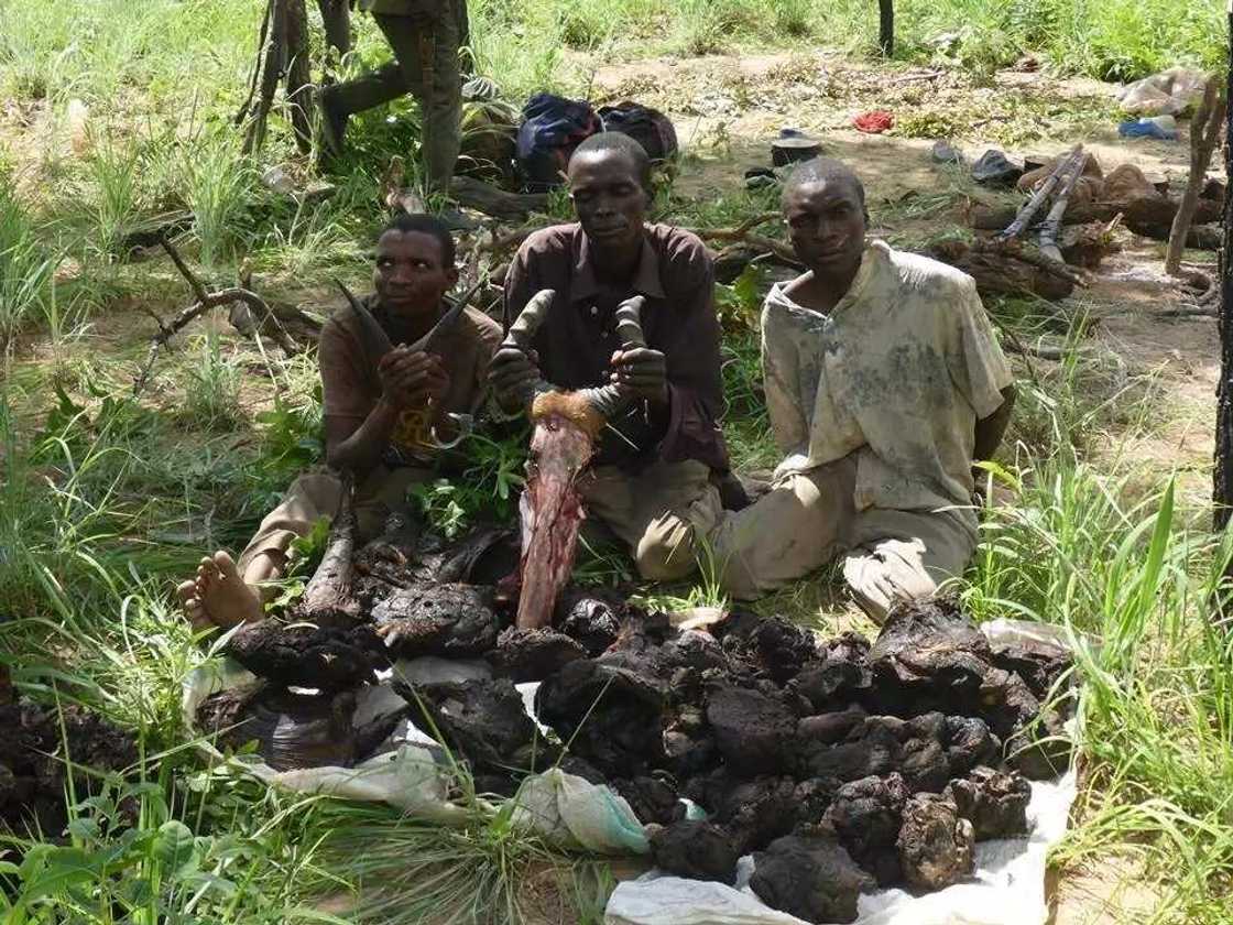 Labari cikin hotuna: Wasu ‘yan farauta sun bakonci gidan kaso a Bauchi Labari cikin hotuna: Wasu ‘yan farauta sun bakonci gidan kaso a Bauchi