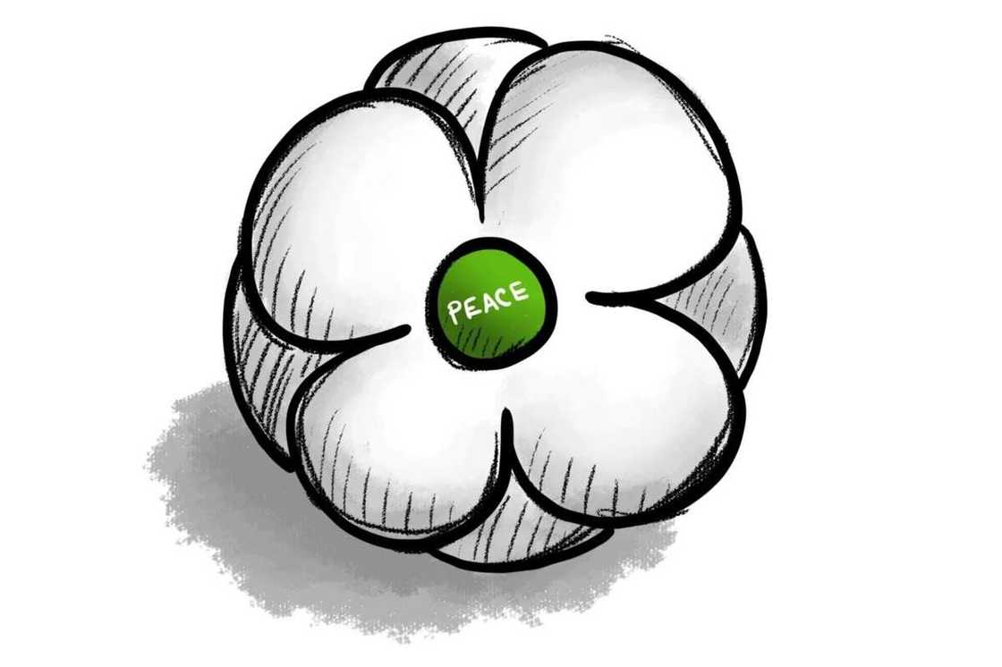 White poppy peace symbol