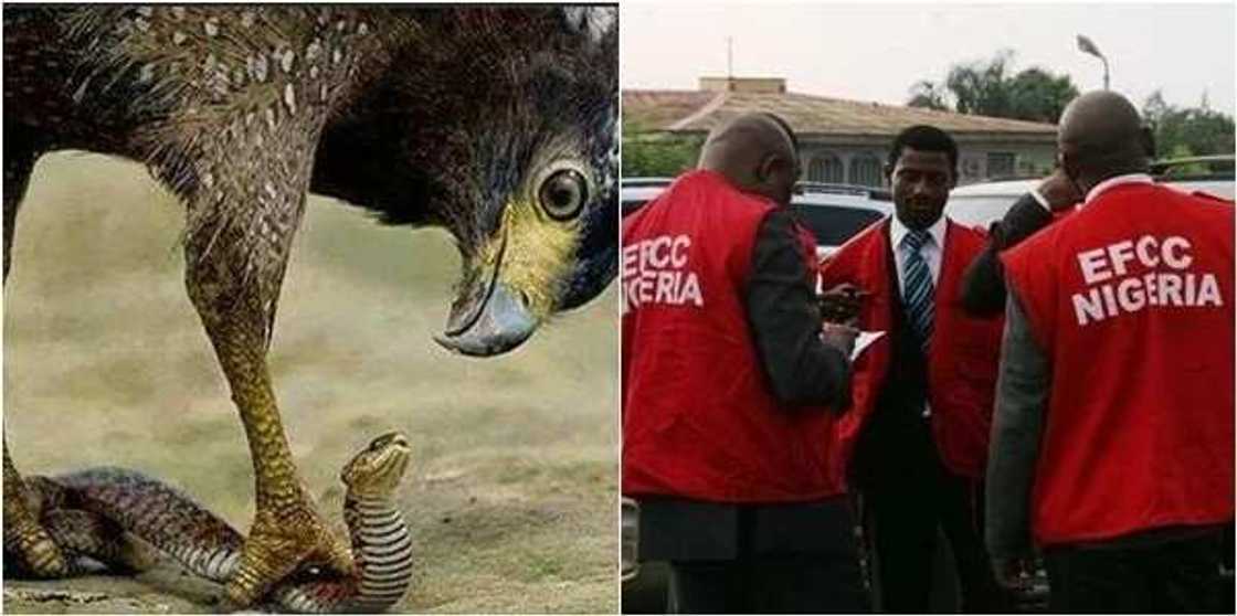 EFCC ta ce ba bu sassauci EFCC ta ce ba bu sassauci