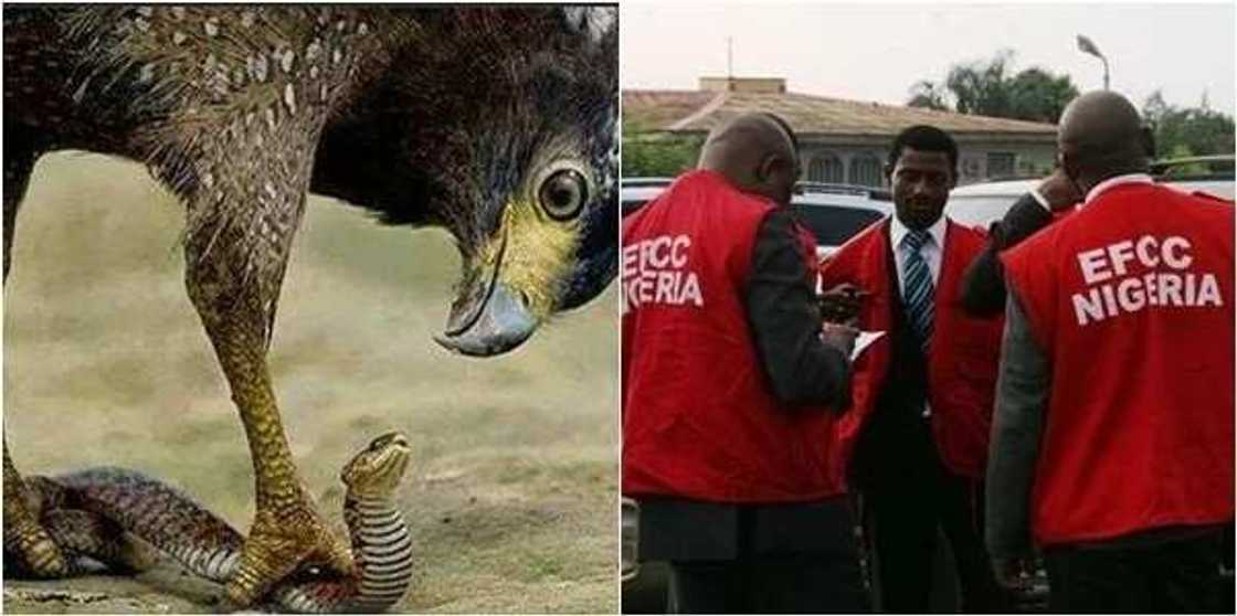 EFCC ta ce ba bu sassauci