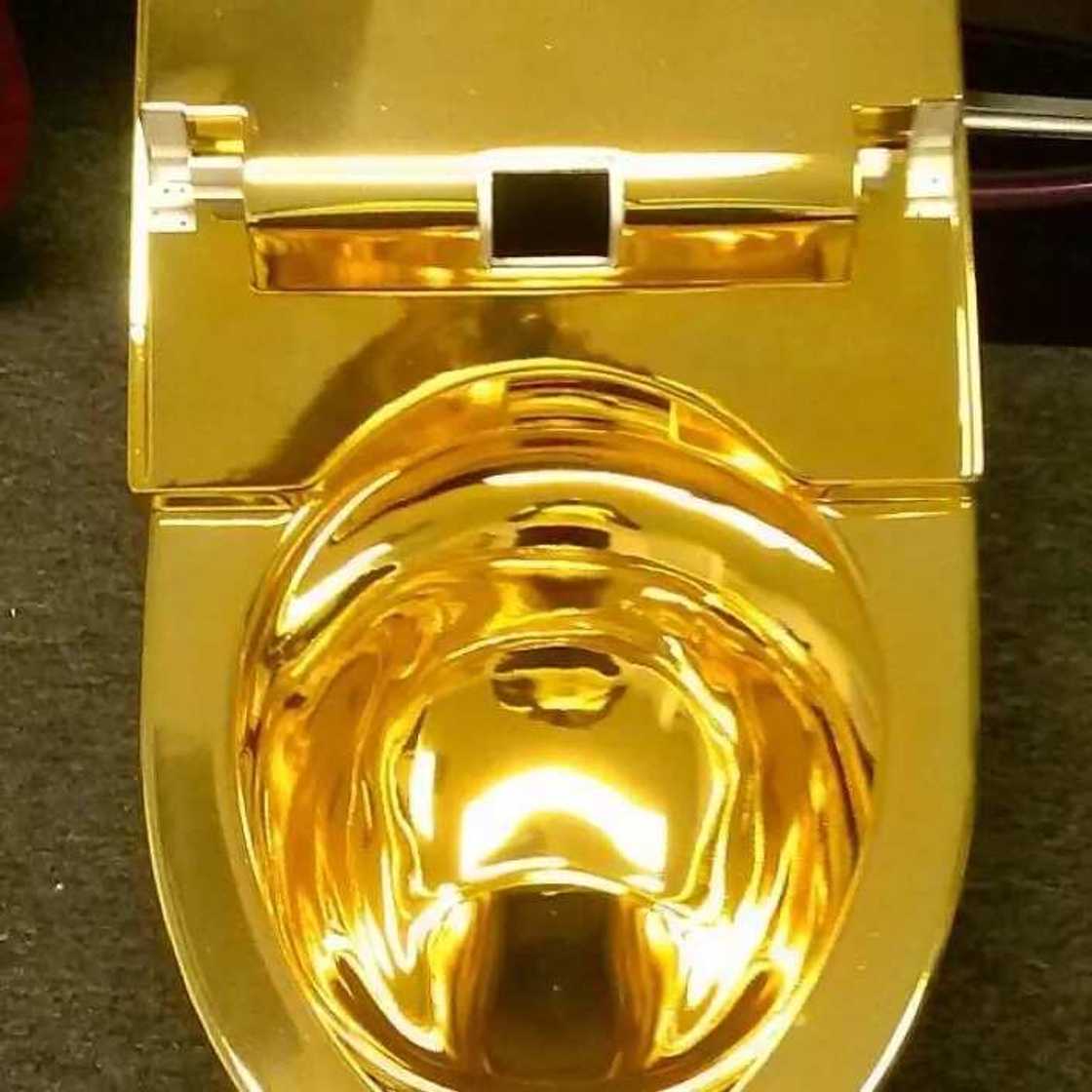 Ko ka taɓa ganin masai na Zinari? (HOTUNA) Ko ka taɓa ganin masai na Zinari? (HOTUNA)