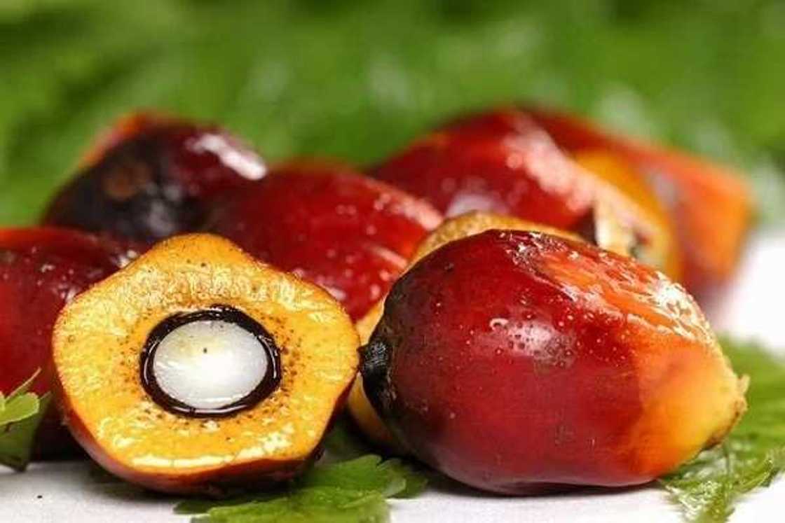 Companies that buy palm oil in Nigeria Companies that buy palm oil in Nigeria