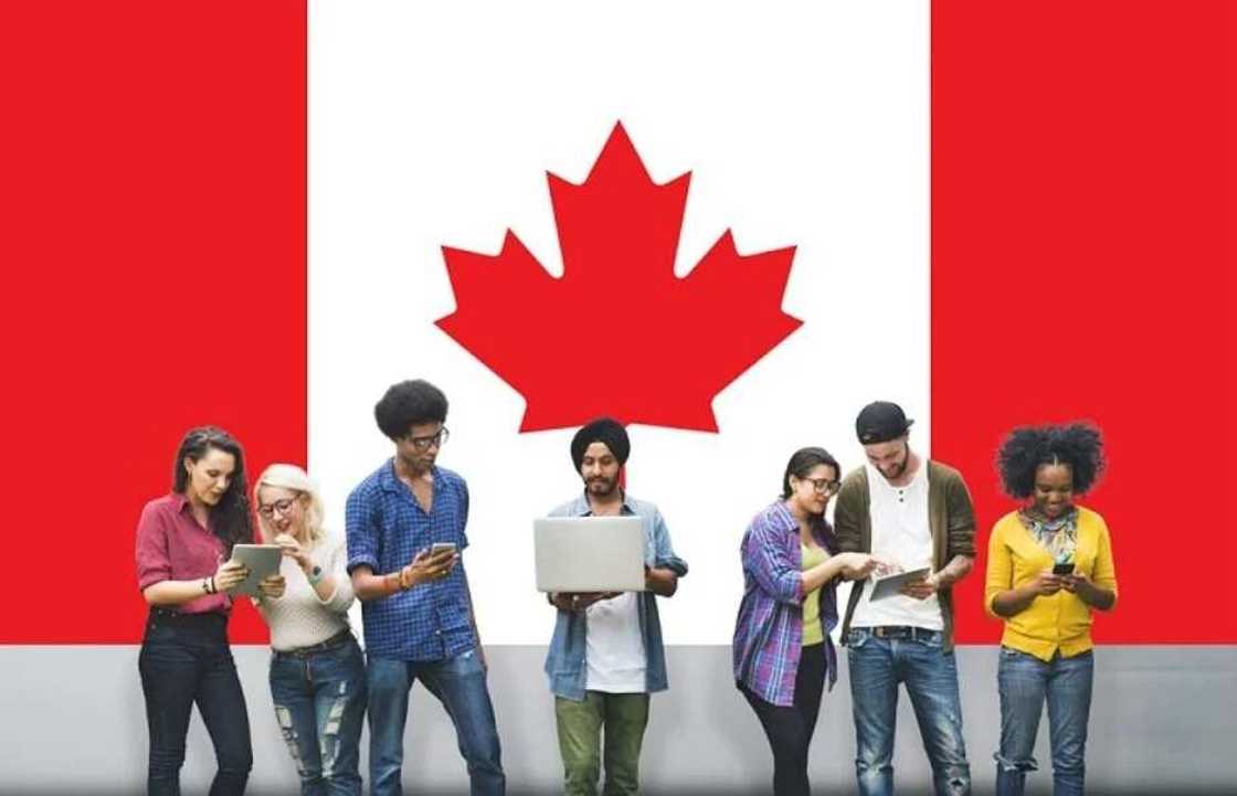 Diploma courses in Canada for international students Diploma courses in Canada for international students