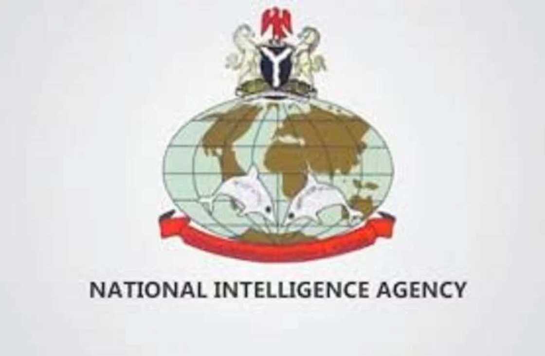 Dalilin da yasa EFCC da DSS da kuma hukumar liken asiri ta kasa NIA suke fada a junansu Dalilin da yasa EFCC da DSS da kuma hukumar liken asiri ta kasa NIA suke fada a junansu