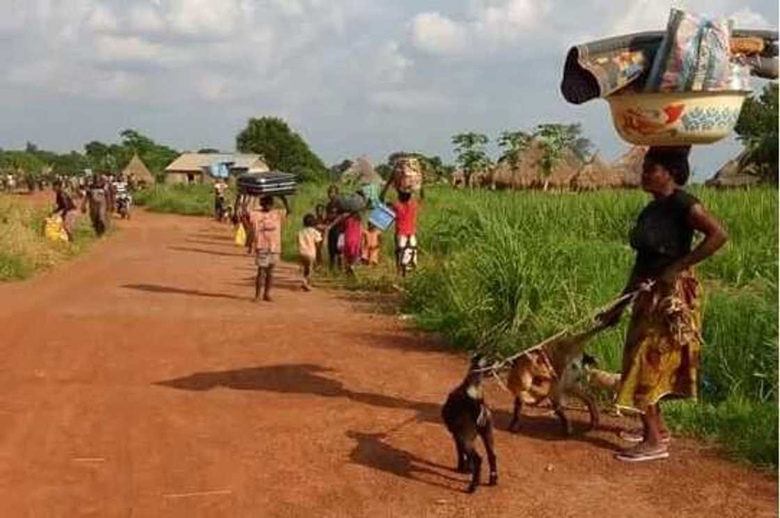 Fulani Makiyaya sun haddasa gudun hijira a Benue