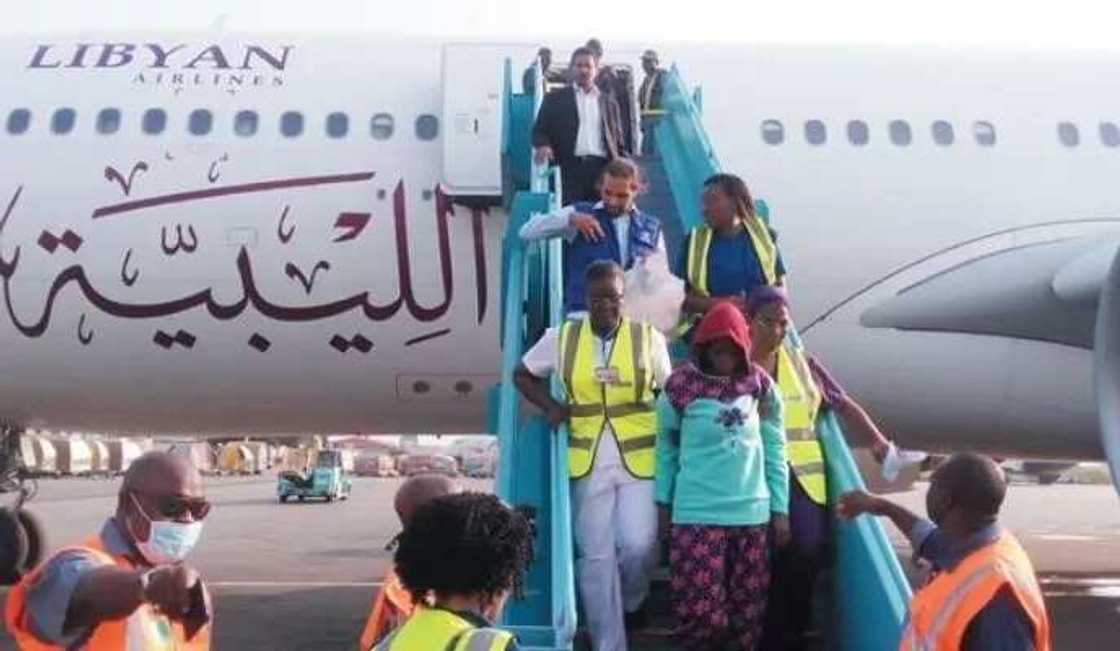 Covid-19: 238 evacuees arrive Nnamdi Azikiwe International Airport Covid-19: 238 evacuees arrive Nnamdi Azikiwe International Airport