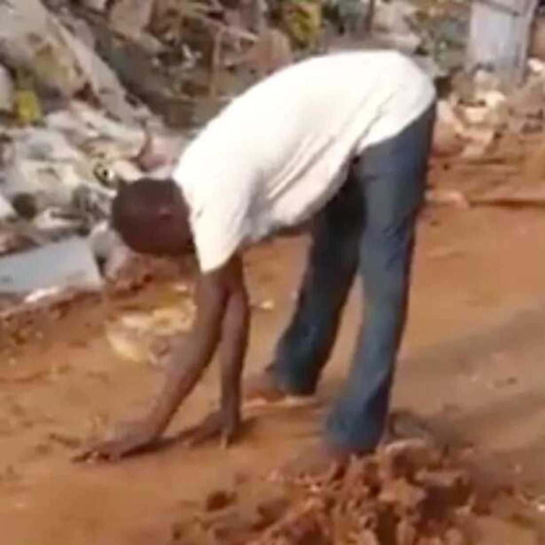 Man puts furious snake to sleep with his bare hands in seconds Man puts furious snake to sleep with his bare hands in seconds
