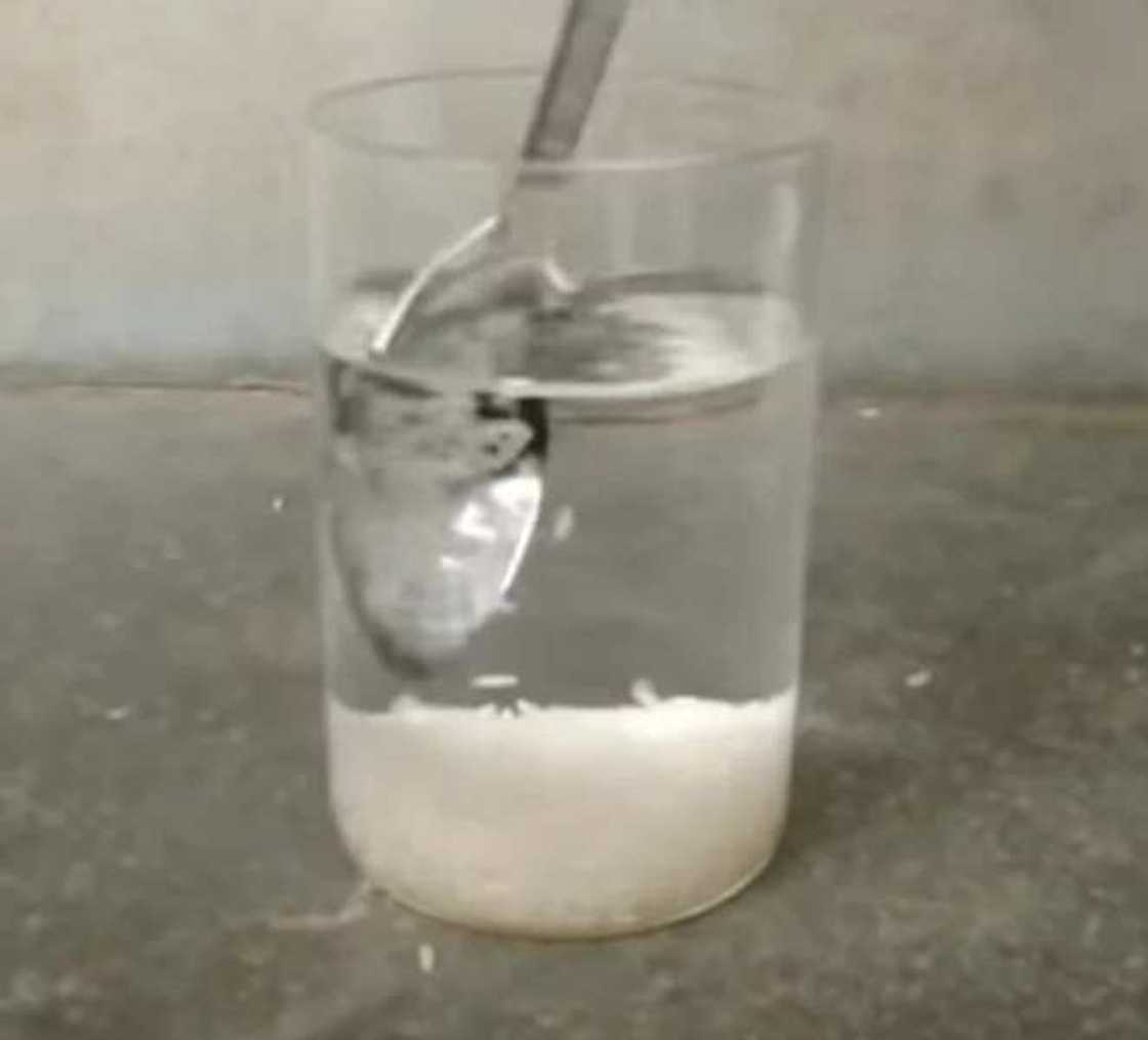 WARNING! 6 tests to help you spot fake rice WARNING! 6 tests to help you spot fake rice