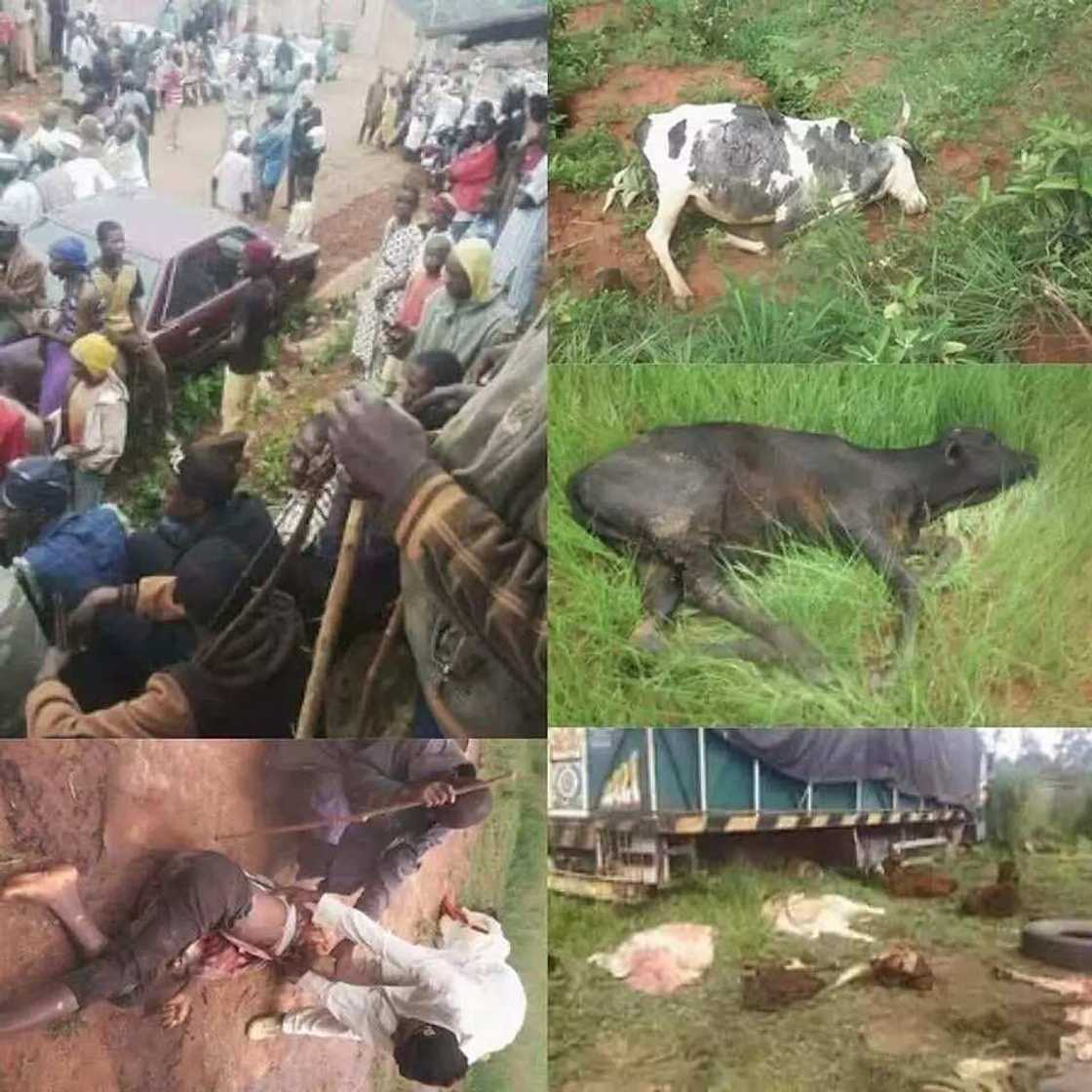 Hattara: Ana yi ma Fulani kisan kiyashi a jihar Taraba (HOTUNA) Hattara: Ana yi ma Fulani kisan kiyashi a jihar Taraba (HOTUNA)