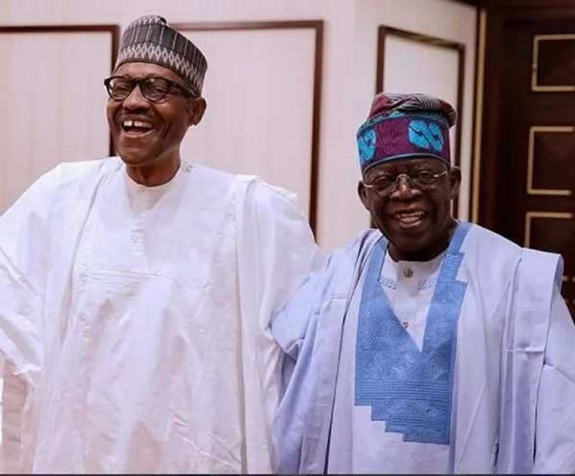 Ba zan bar Shugaba Buhari ba, kuma bazan yi takara da shi ba inji Bola Tinubu