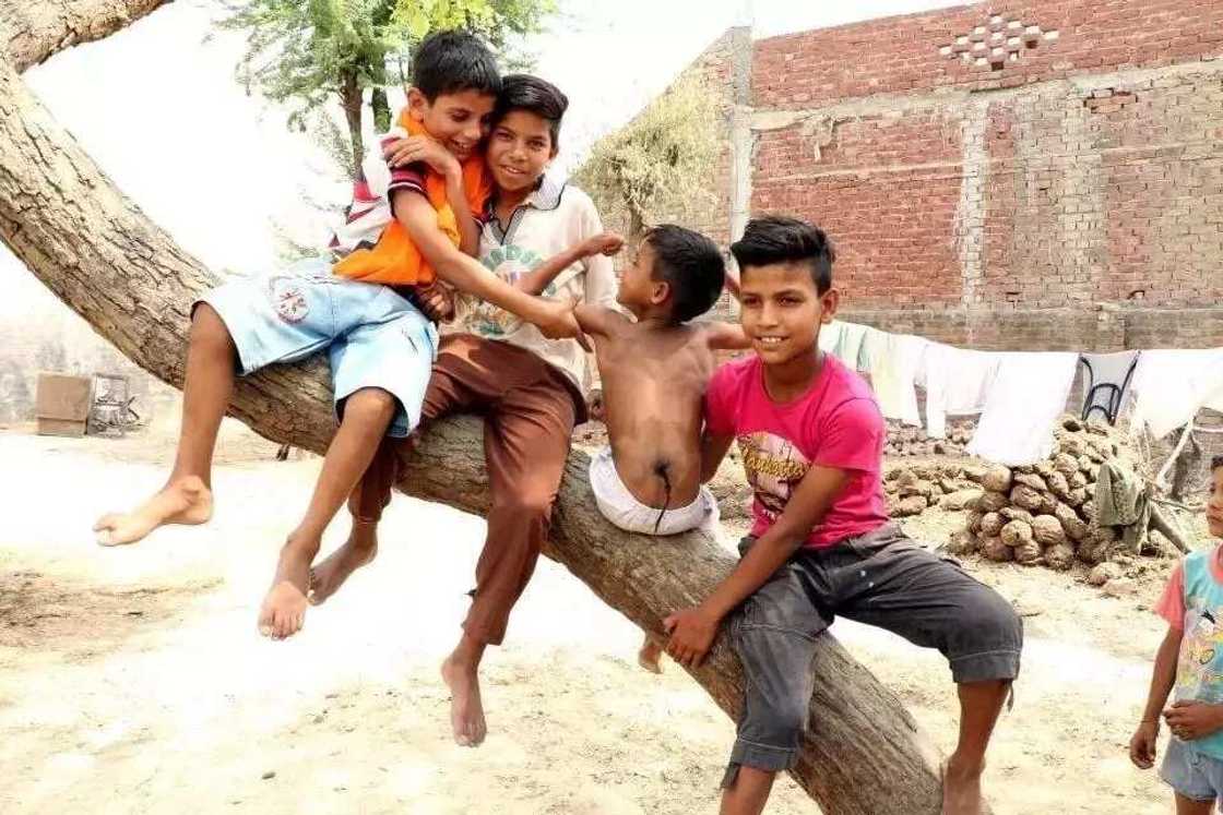 Jama’a na bautan wani yaro ‘mai bindi’ a kasar India (HOTUNA/BIDIYO) Jama’a na bautan wani yaro ‘mai bindi’ a kasar India (HOTUNA/BIDIYO)