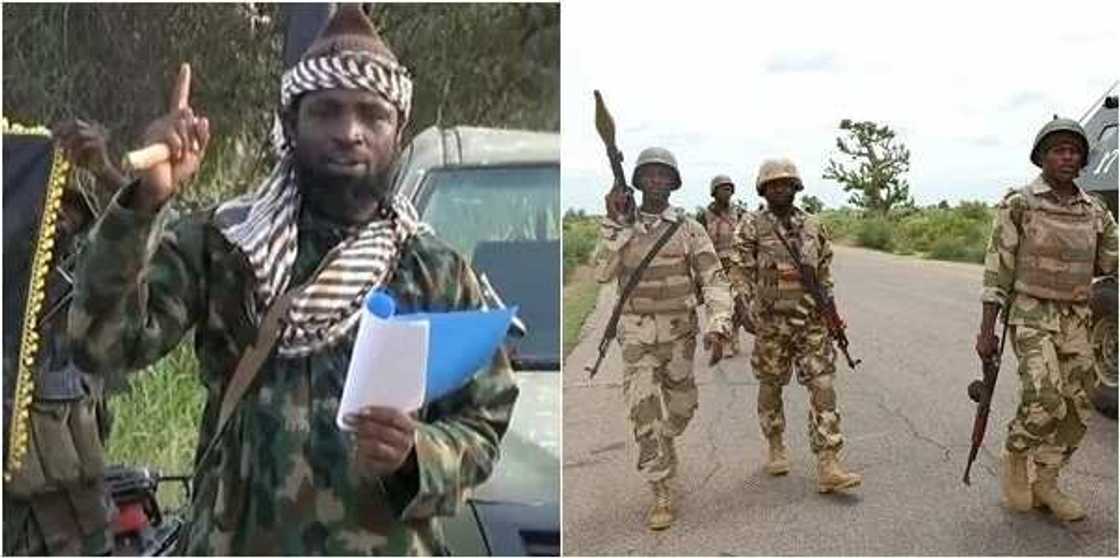 Zagon kasa: Saura kiris sojojin Nigeria su cafke Shekau aka umurce su suka janye