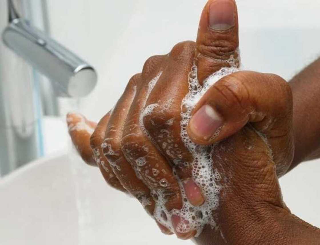 Importance of personal hygiene for food handlers hand washing Importance of personal hygiene for food handlers hand washing