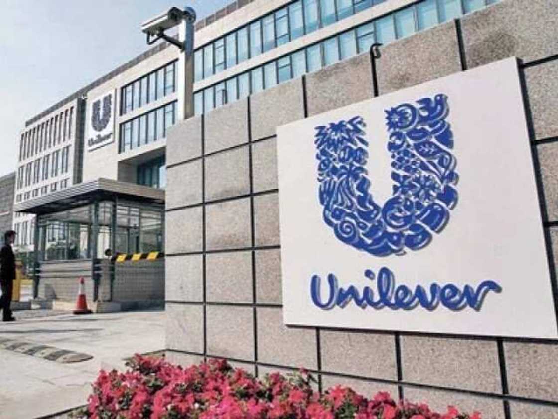 Unilever company performance Unilever company performance