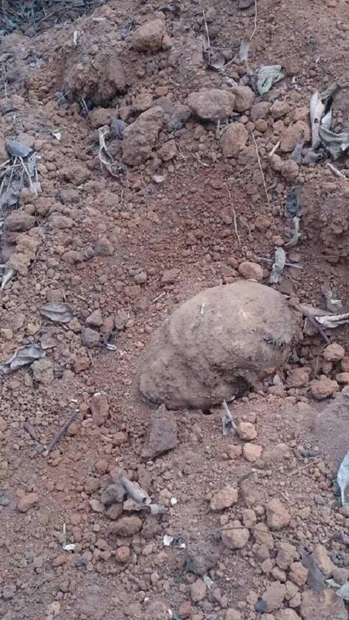 Imota Cemetery of horror Imota Cemetery of horror