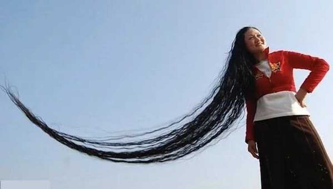 Longest hair in the world CHINESE Longest hair in the world CHINESE
