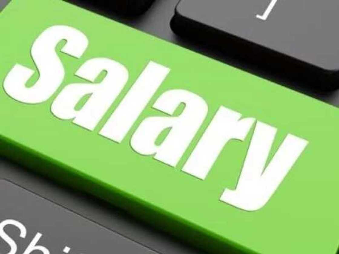 CONTISS salary structure in Nigeria CONTISS salary structure in Nigeria