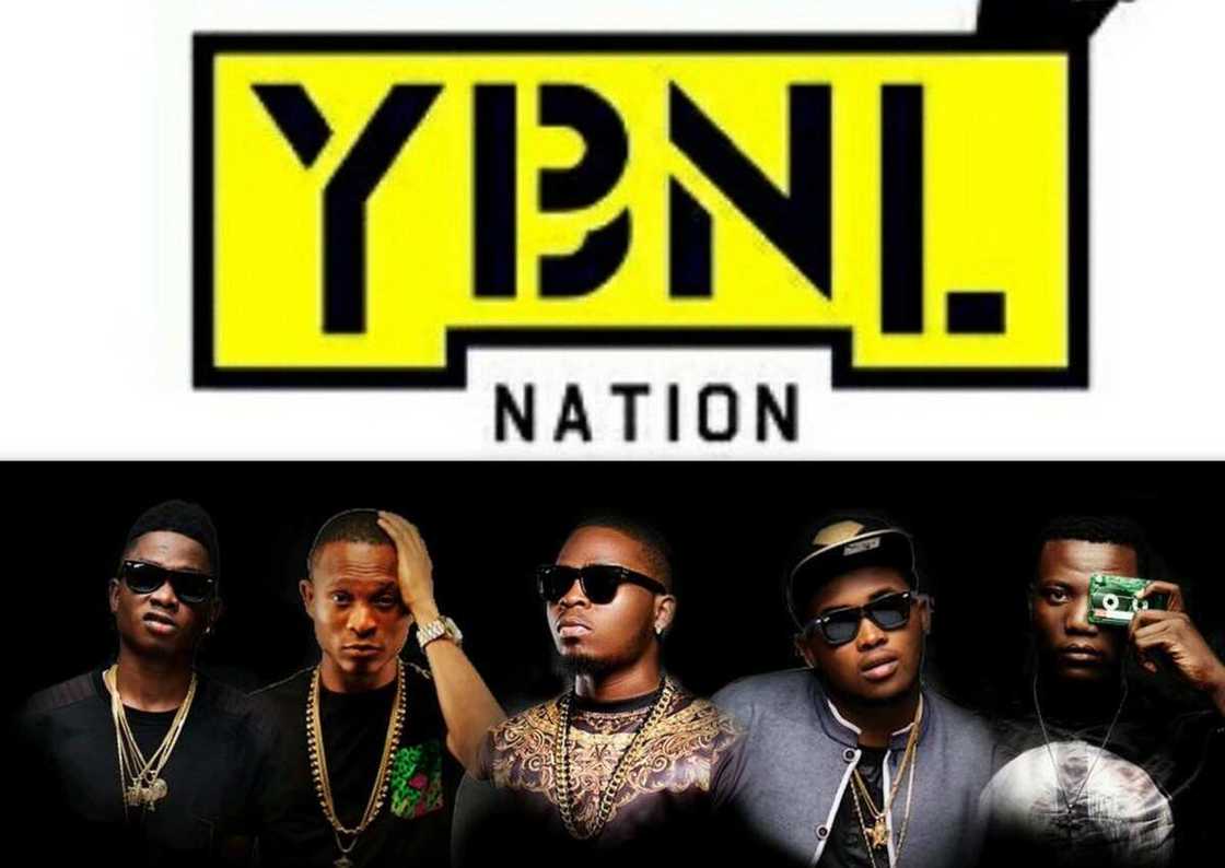 YNBL Nation YNBL Nation