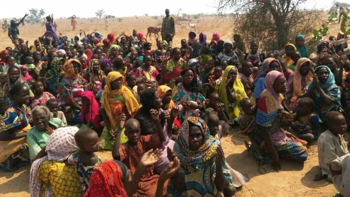 Mata da yara 772 ‘yan Boko Haram ke tsare Mata da yara 772 ‘yan Boko Haram ke tsare