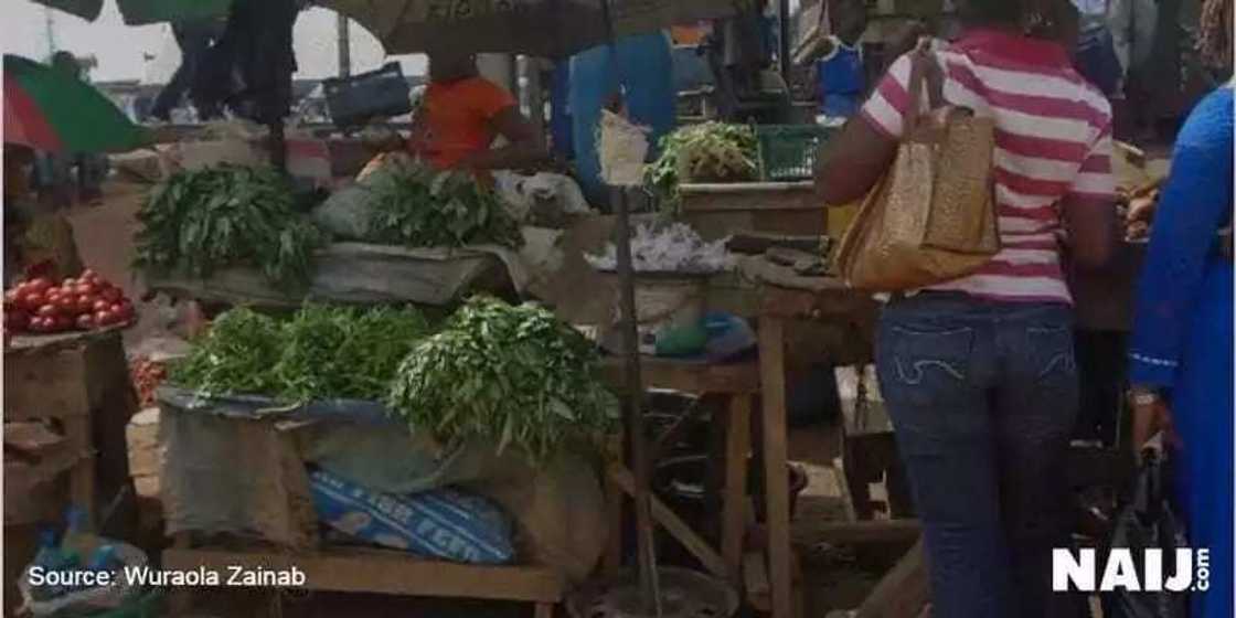 Rice now sells for N17,500 per bag as eid-el-kabir approaches Rice now sells for N17,500 per bag as eid-el-kabir approaches