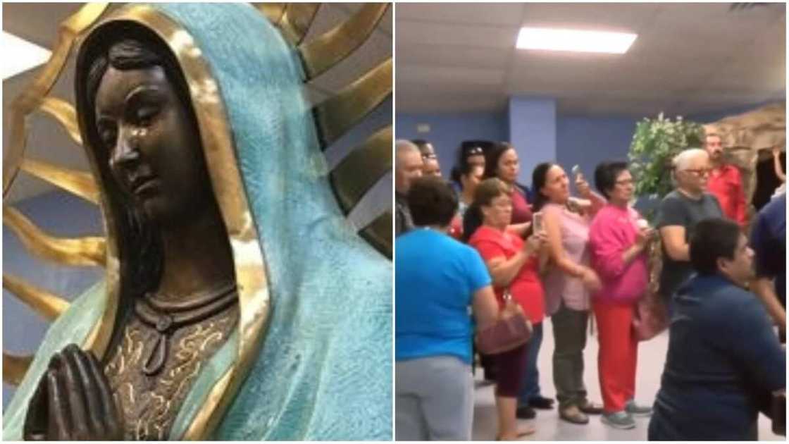 Statue of Mary Statue of Mary