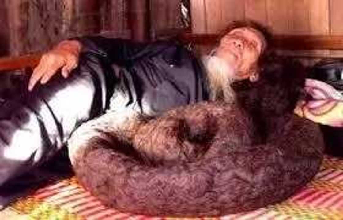 Namijin da yafi tarin gashi a Duniya, shekaru 11 ba wanki Namijin da yafi tarin gashi a Duniya, shekaru 11 ba wanki