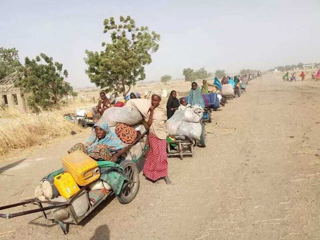 Gaba kura baya sayaki: Matan da aka kubutar daga hannun kungiyar Boko Haram na cikin halin tsaka wuya Gaba kura baya sayaki: Matan da aka kubutar daga hannun kungiyar Boko Haram na cikin halin tsaka wuya