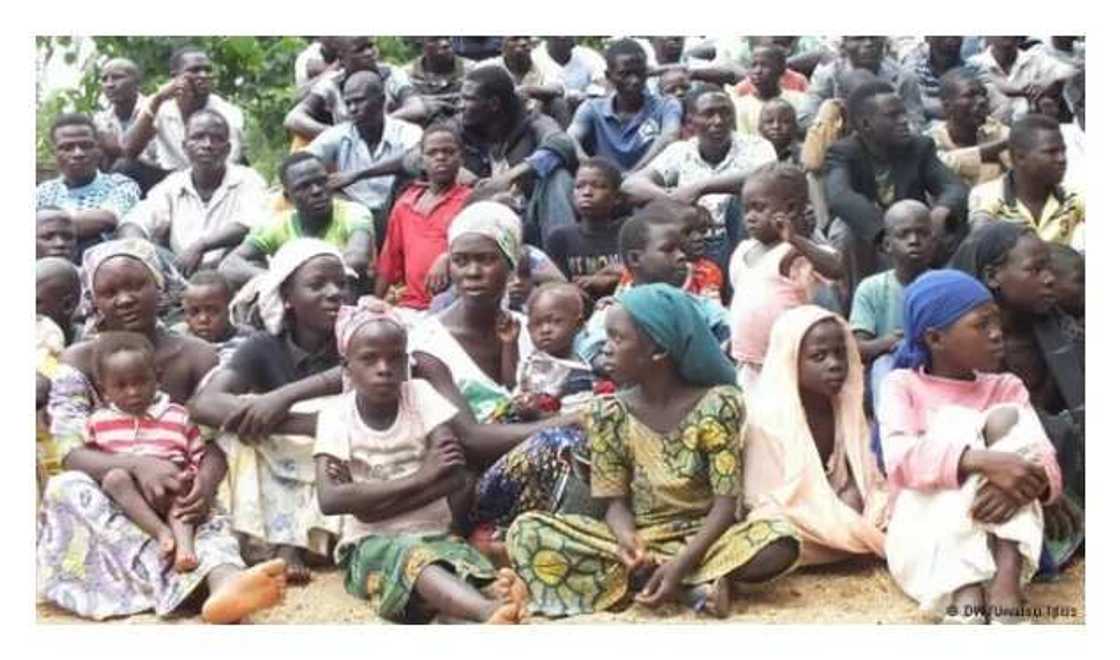 Yadda Boko Haram suka yima mijina da 'ya'yana hudu' yankan rago - inji wata zawara Yadda Boko Haram suka yima mijina da 'ya'yana hudu' yankan rago - inji wata zawara