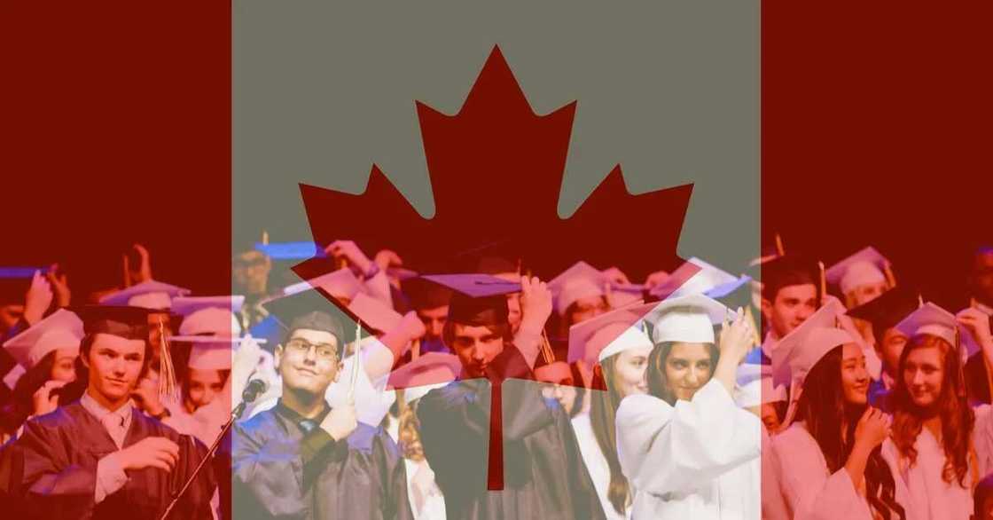 Diploma courses in Canada for international students Diploma courses in Canada for international students