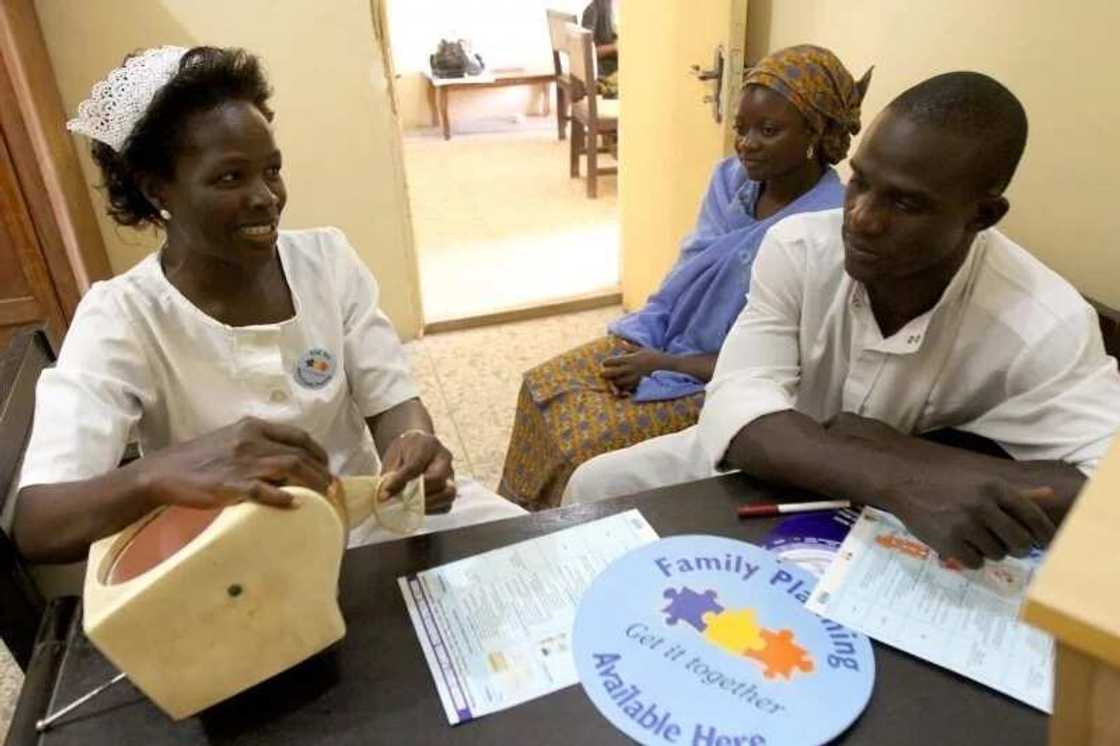 primary health care nurse primary health care nurse