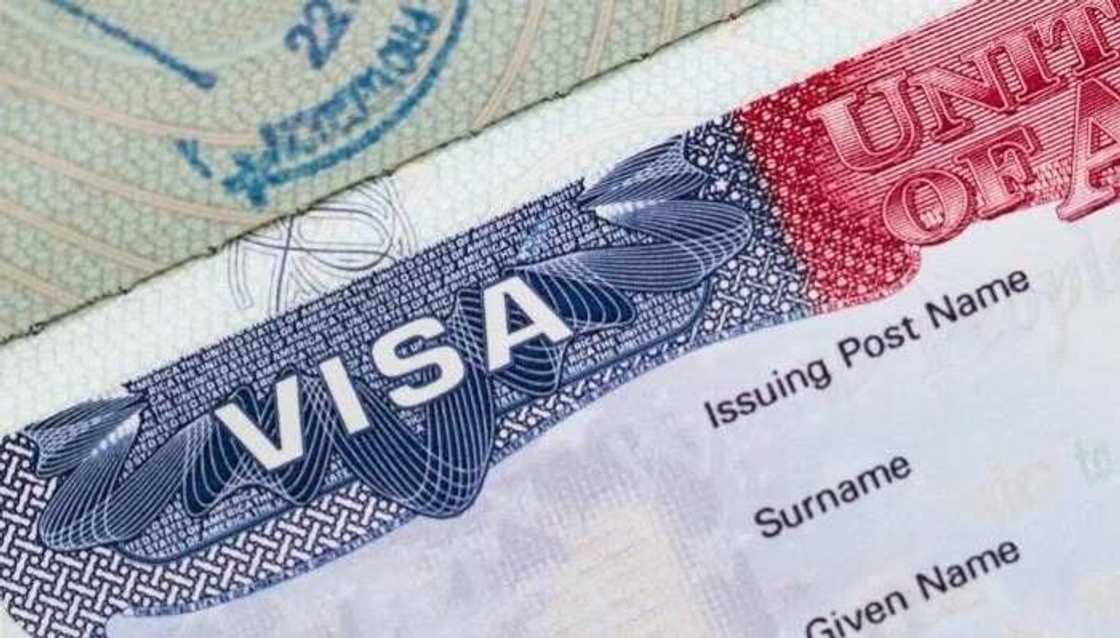 U.S Visa Application U.S Visa Application
